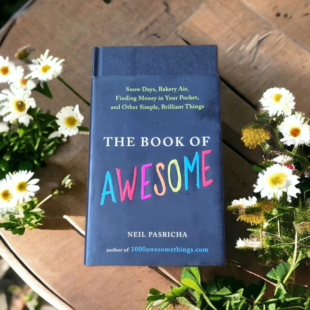 🌟3/$30 Sale!Mix & Match🌟 The Book of Awesome by Neil Pasricha
